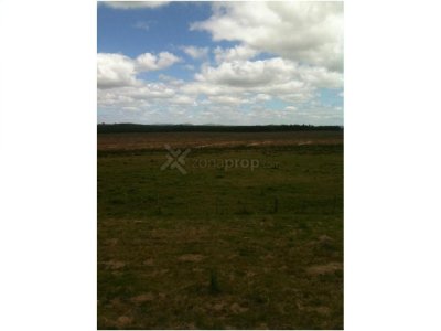 VENTA EN RUTA 12 CHACRA DE 13 HAS