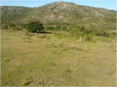 chacra en venta  de 13 has - RUTA 39