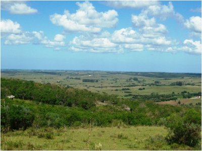 MANSA, PUNTA DEL ESTE 