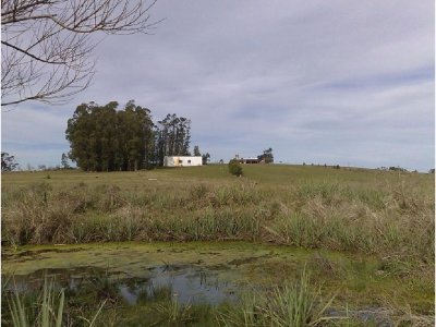 Chacra en  - Punta del Este