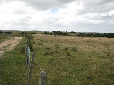 Chacra en GARZON