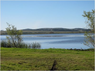 Terreno en Punta del Este ,BARRIO PRIVADO:Laguna de los Cisnes