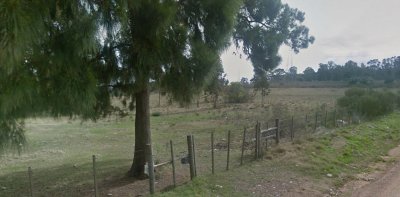 Excelente parcelas de 6 has y 12 para Fraccionar en lotes desde 300 m2 