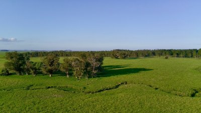 Venta en Rocha Ruta 10 a pocos km de La Pedrera, Excelente Inversión