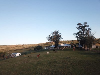 Espectacular propiedad en zona de Puntas de José Ignacio y 25 de Garzón