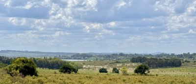 Chacra próximo a Laguna del Sauce 6 hás
