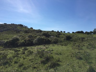 Maldonado, 8 Has casi Ruta 9, Vistas Espectaculares y un entorno apacible,