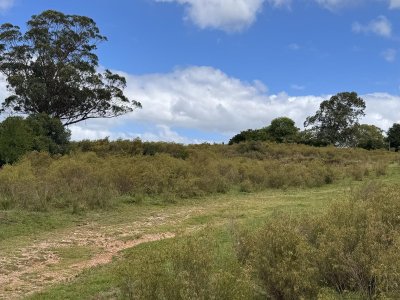 Lavalleja, 23 hás con cañada y tapera a poco de Minas