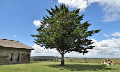 Venta de chacra Lavalleja, 10 hás con casco de piedra