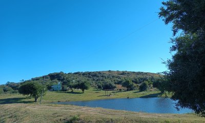 Venta de chacra en Rocha, 16 hás con vivienda