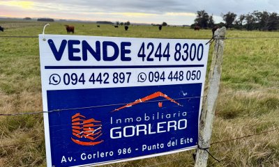 Venta en Rocha Ruta 10 a pocos km de La Pedrera, Excelente Inversión