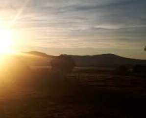 Chacra a poca distancia de Ruta 9, 15 Has con muy lindo entorno.