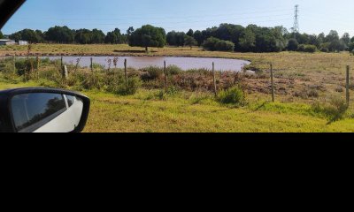 Venta de chacra sobre Ruta 9, con gran potencial