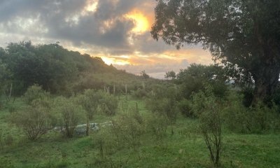 Venta de Chacra en Rocha 7 hás 6812 m2