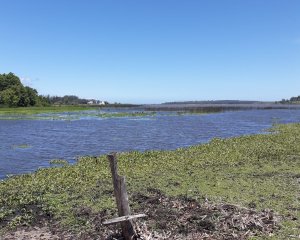 Venta de fracción en Laguna del Sauce