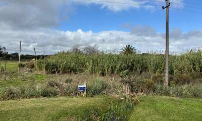 CAMPO EN URUGUAY, ROCHA