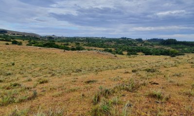 Lavalleja - Maldonado . Chacra con  5.5 hás a 2 km de R 60