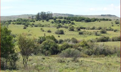 Chacra  a la venta en Maldonado a 49 km de Punta del Este, con cañadas y palmeras