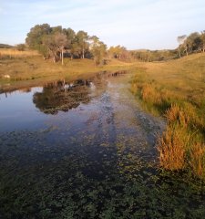 Venta de Chacra en Lavalleja, Minas.