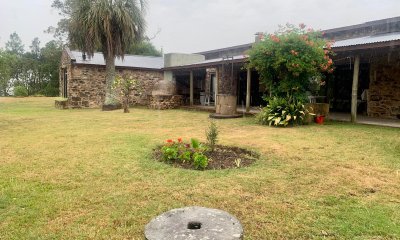 Chacra de 5 Has con Importante Casa en Pueblo Edén, Ruta 12, Olivos y monte nativo