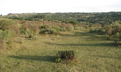 Venta de Chacra en Uruguay, Ruta 39, a 70 km de Punta del Este