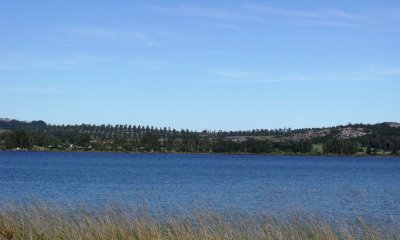 Chacra en Venta en Punta del Este, Laguna del Sauce con costa 15 hás, Excelente Opción