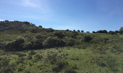 Maldonado, 8 Has casi Ruta 9, Vistas Espectaculares y un entorno apacible,