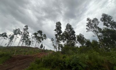Venta de fracción suburbana en Lavalleja Minas Ruta 12