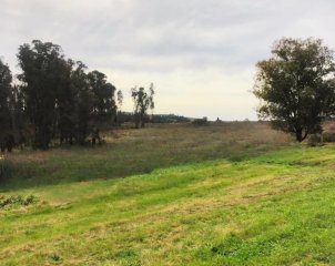 Venta de chacra en Ruta 9 a pocos km de la 12