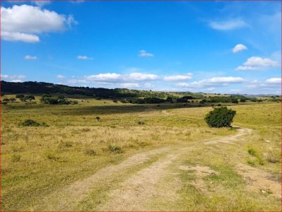 maldonado - venta de campo con costa !! zona de aiguá 41 has - gor28273p
