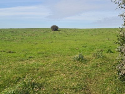 rocha, campo con casco antiguo 400  hás - gor28744p