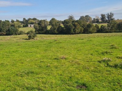 rocha, campo con casco antiguo 400  hás - gor28744p