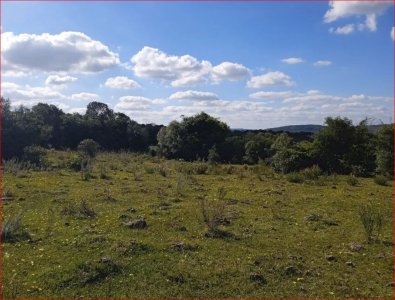 maldonado - venta de campo con costa !! zona de aiguá 41 has - gor28273p