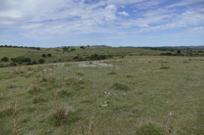 ruta 39, a 47 km de punta del este, venta de  campo ganadero, muy panorámico y con cañadas. - gor25092p