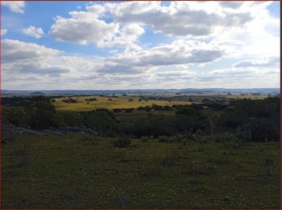 maldonado - venta de campo con costa !! zona de aiguá 41 has - gor28273p