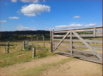 maldonado - venta de campo con costa !! zona de aiguá 41 has - gor28273p