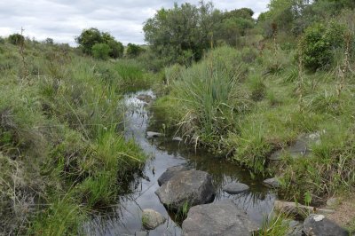 ruta 39, a 47 km de punta del este, venta de  campo ganadero, muy panorámico y con cañadas. - gor25092p
