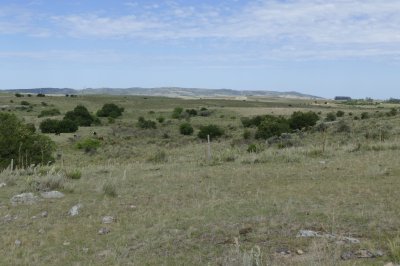 ruta 39, a 47 km de punta del este, venta de  campo ganadero, muy panorámico y con cañadas. - gor25092p