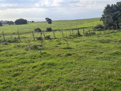 rocha, campo con casco antiguo 400  hás - gor28744p