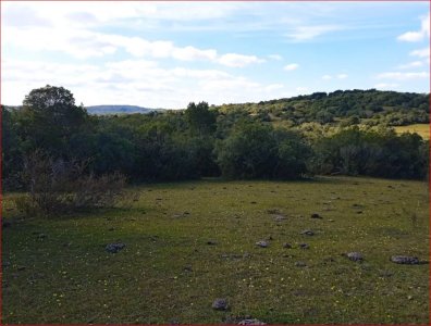 maldonado - venta de campo con costa !! zona de aiguá 41 has - gor28273p