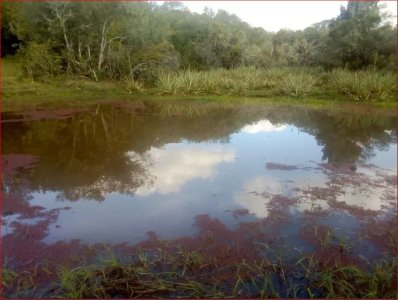 maldonado - venta de campo con costa !! zona de aiguá 41 has - gor28273p