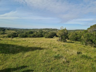 rocha, campo con casco antiguo 400  hás - gor28744p