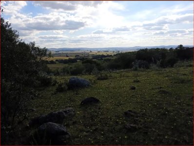 maldonado - venta de campo con costa !! zona de aiguá 41 has - gor28273p