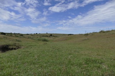 ruta 39, a 47 km de punta del este, venta de  campo ganadero, muy panorámico y con cañadas. - gor25092p