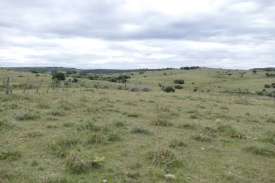 ruta 39, a 47 km de punta del este, venta de  campo ganadero, muy panorámico y con cañadas. - gor25092p