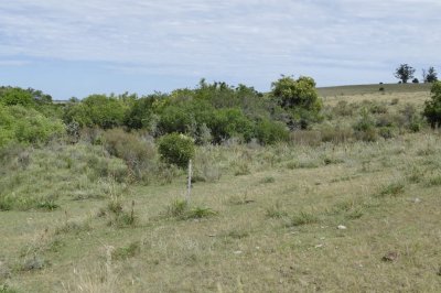 ruta 39, a 47 km de punta del este, venta de  campo ganadero, muy panorámico y con cañadas. - gor25092p