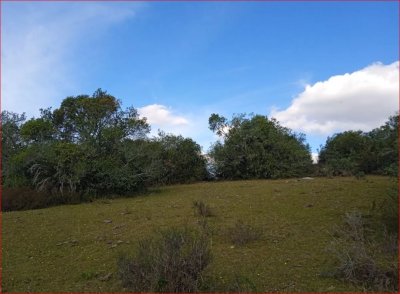 maldonado - venta de campo con costa !! zona de aiguá 41 has - gor28273p