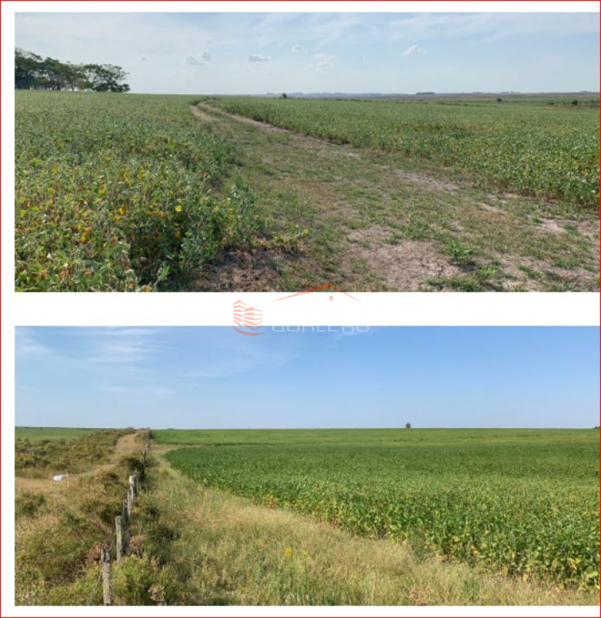 Venta de campo en Paysandú - GoPunta - Portal Inmobiliario de Punta del Este - Maldonado