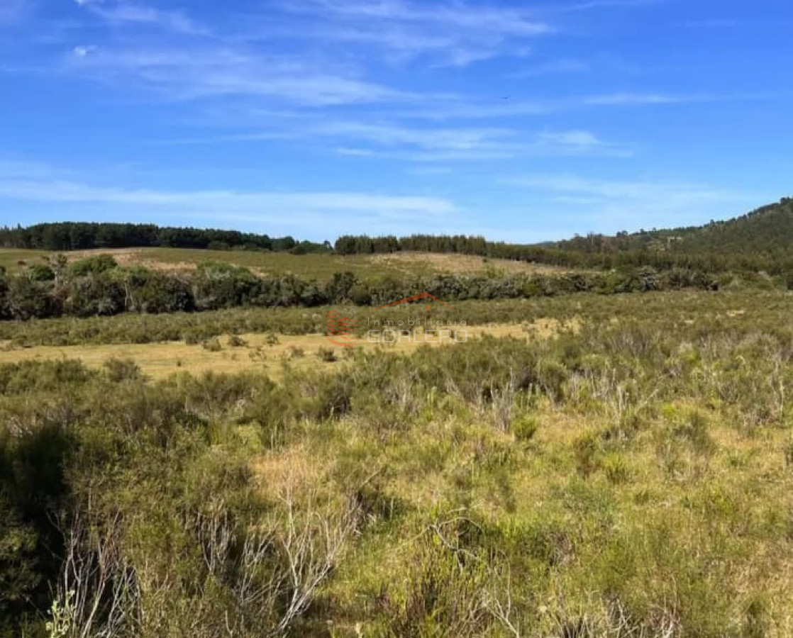 Campo para la venta 242 has a 18 km de Minas  - GOR30204P
