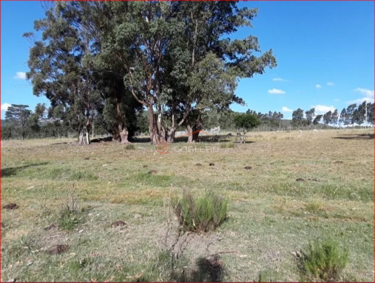 Venta de campo en Lavalleja, 70 hás convivienda - GoPunta - Portal Inmobiliario de Punta del Este - Maldonado